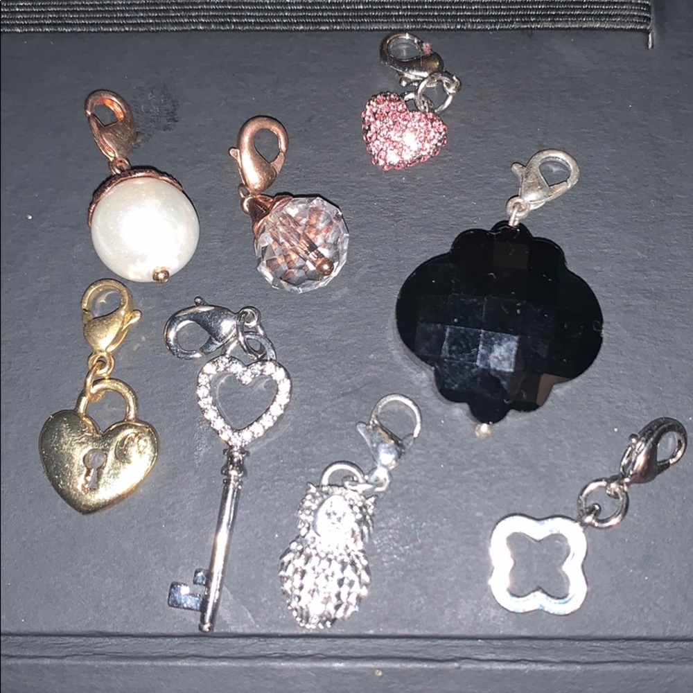 Origami owl dangle charms